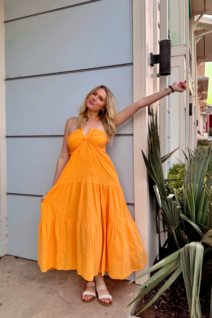 Haven Maxi Dress Large / Amalfi Print